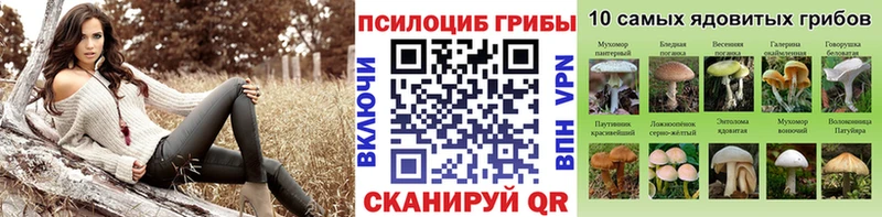 блэк спрут tor  Суоярви  Псилоцибиновые грибы GOLDEN TEACHER 
