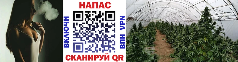 Шишки марихуана тримм Суоярви